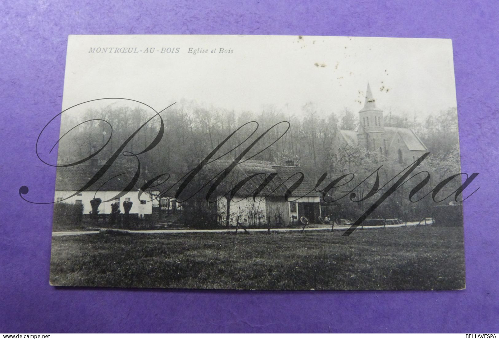 Montroeul Au Bois Eglise Et Bois  Frasnes-lez-Anvaing 1908 - Frasnes-lez-Anvaing