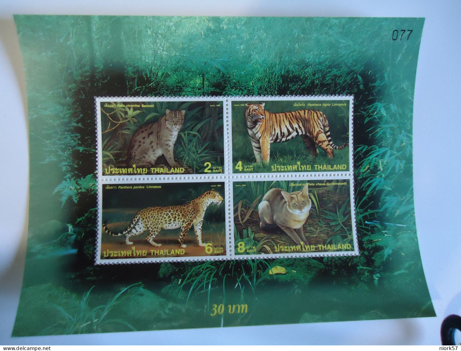 THAILAND MNH   SHEET  TIGER 1998 - Big Cats (cats Of Prey)