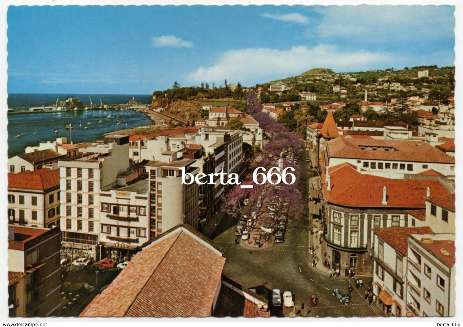 Portugal * Madeira * Funchal City Overview - Madeira