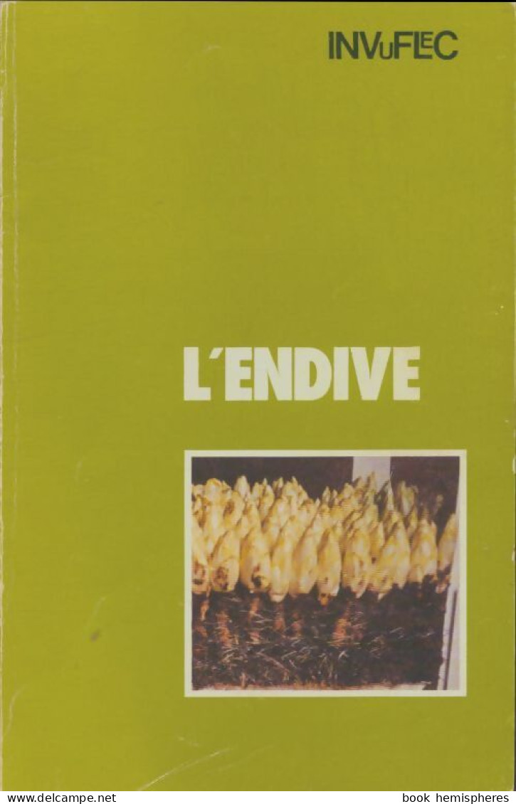 L'endive (1977) De Collectif - Nature