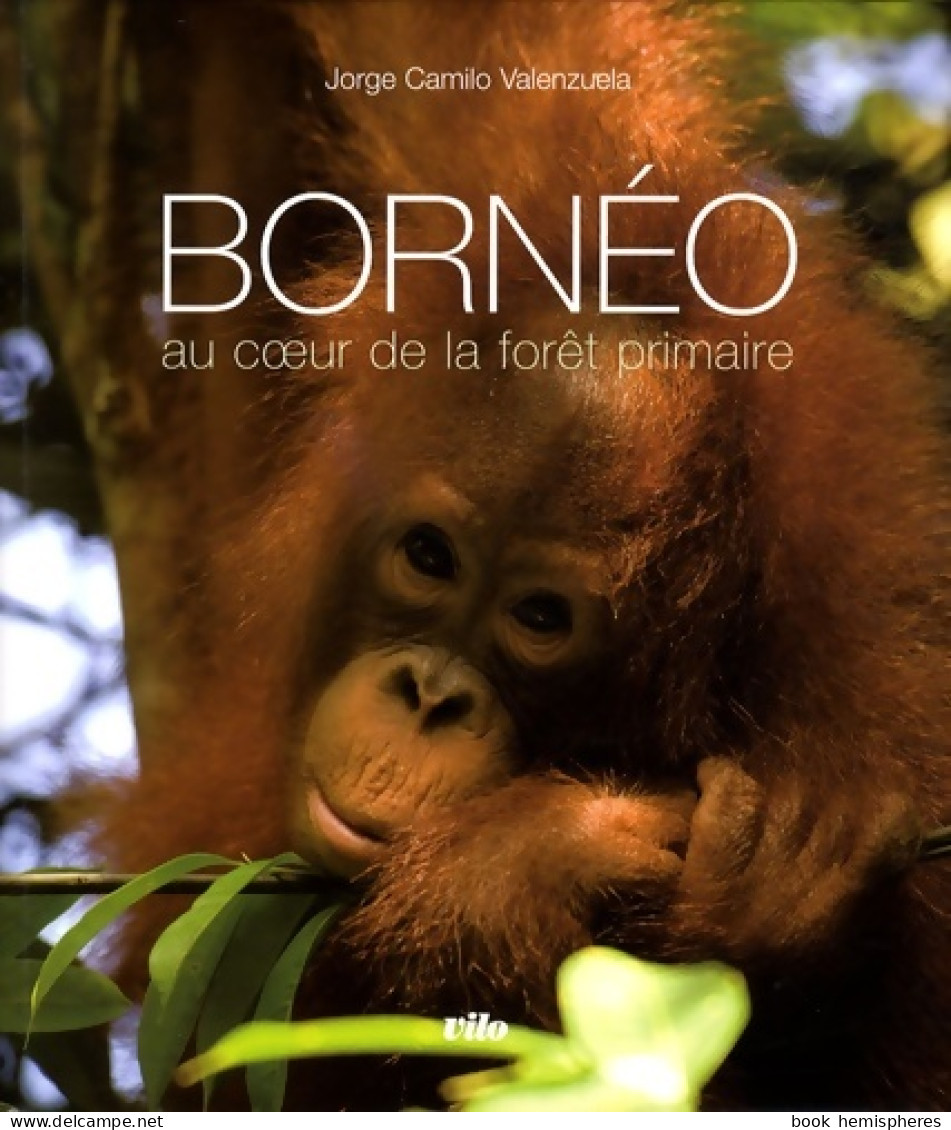 Bornéo : Au Coeur De La Forêt Primaire (1cd Audio) (2008) De Jorge Ca Valenzuela - Nature