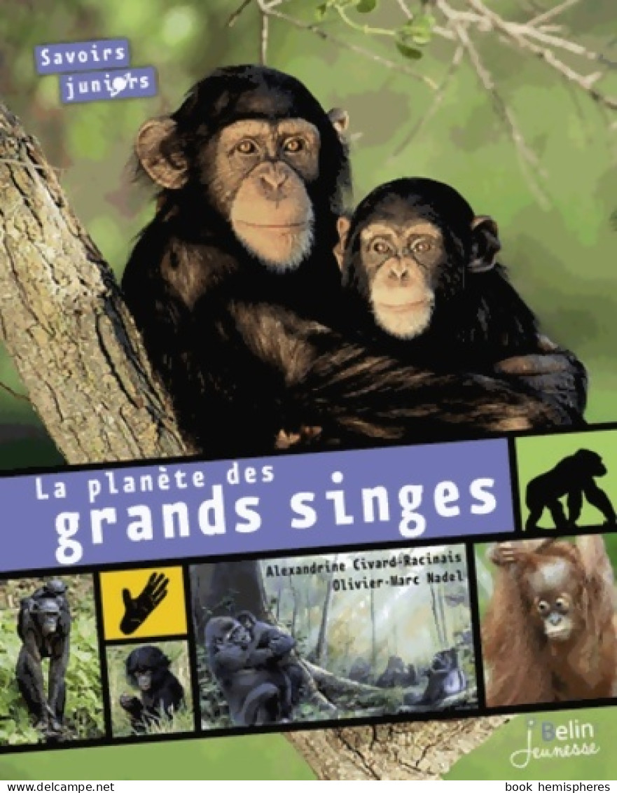 La Planète Des Grands Singes - Savoirs Juniors (2015) De Alexandrine Civard-Racinais - Animaux