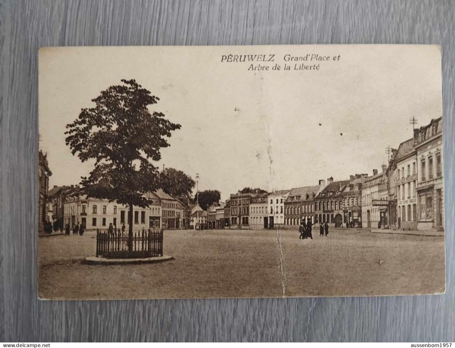 Peruwelz : Grand Place Et Arbre De La Liberté : CPA Non écrite - Péruwelz