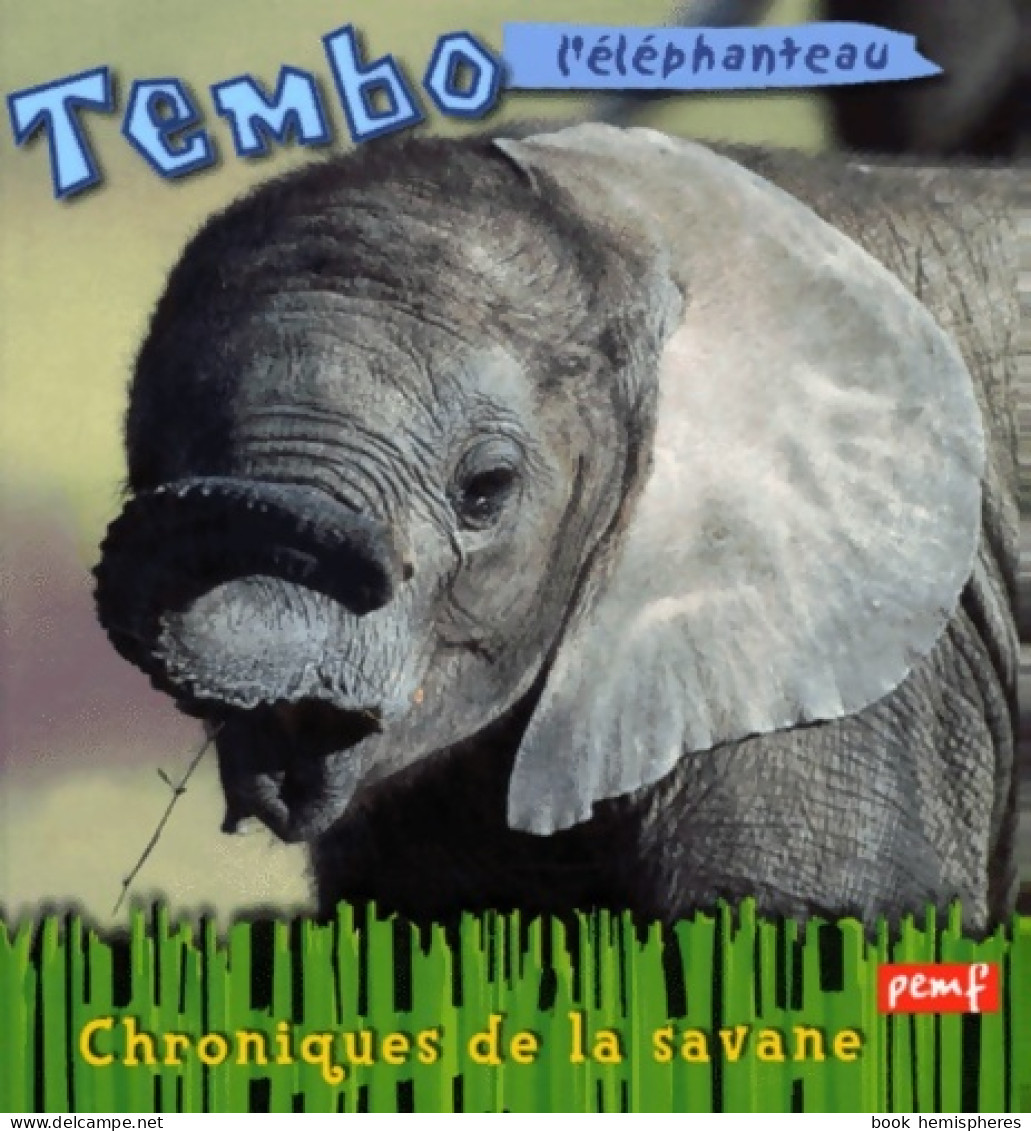 Tembo L'éléphanteau (2001) De M. Nicolotti - Autres & Non Classés
