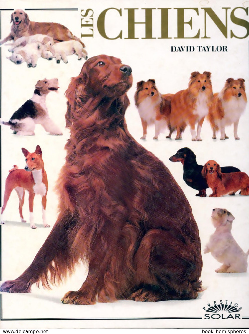 Les Chiens (1991) De David Taylor - Animaux