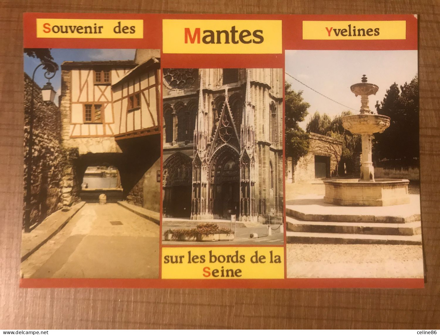  Souvenir Des MANTES Sur Les Bords De La Seine  - Mantes La Ville