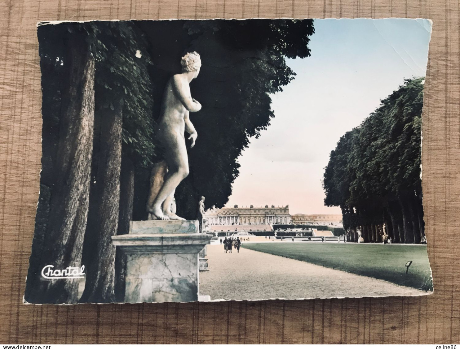  VERSAILLES Le Tapis Vert Perspective Vers Le Chateau  - Versailles (Château)