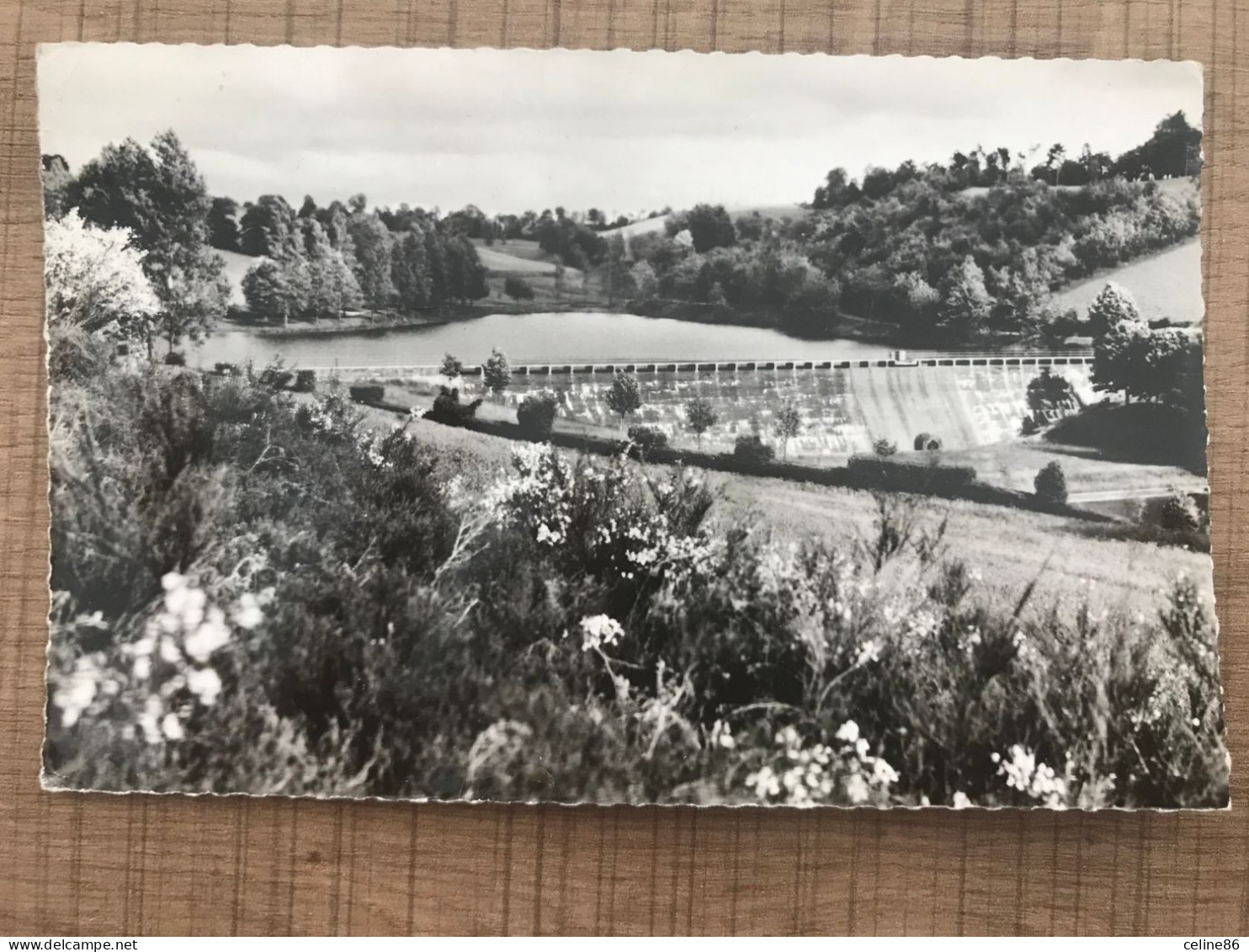  MONTREDON Le Barrage De Bézin Et La Piscine  - Montredon Labessonie