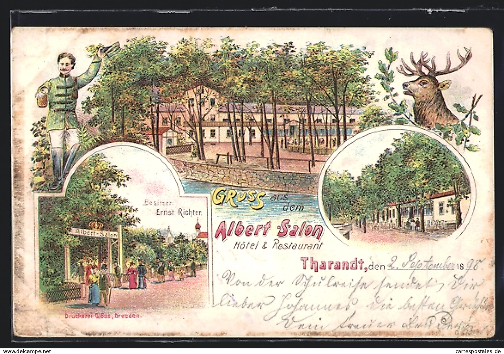 Lithographie Tharandt, Hôtel & Restaurant Albert Salon, Terrasse, Eingang  - Tharandt