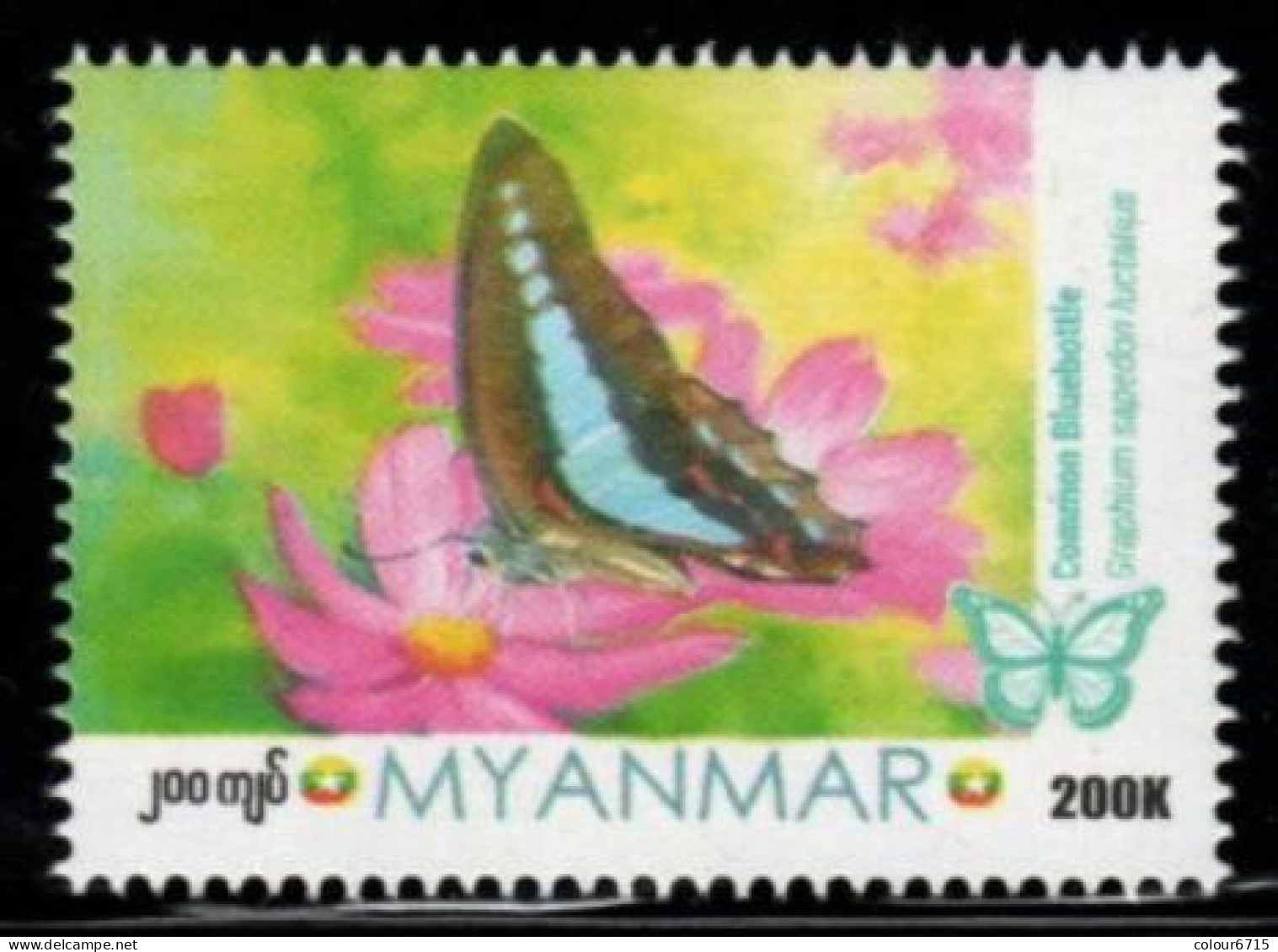 Myanmar 2024 Insects - Butterfly Of Myanmar (II) Stamp 1v MNH - Myanmar (Birma 1948-...)