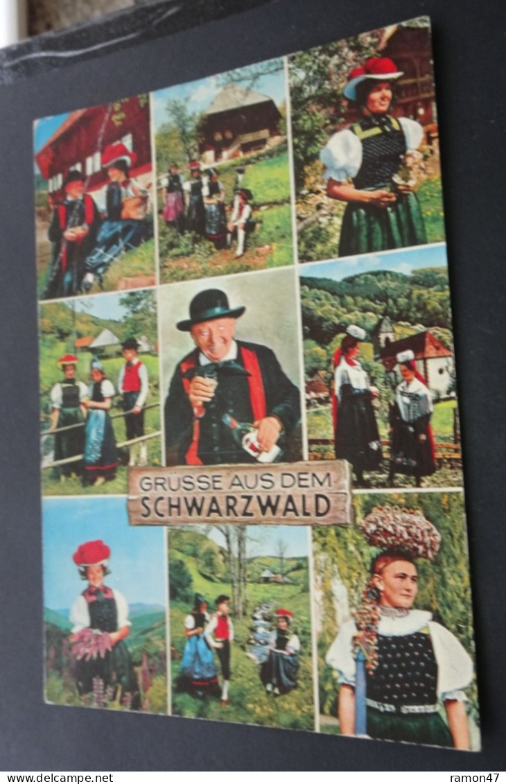 Schwarzwald - Grüsse Aus Dem Schwarzwald - Krüger - # 1036/66 - Europe