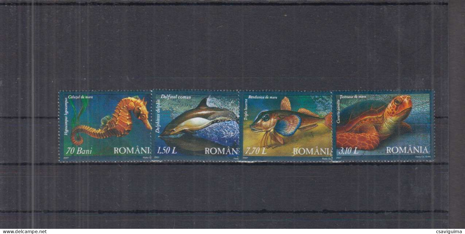 Romania - 2007 - Marine Life - Yv 5183/86 - Maritiem Leven