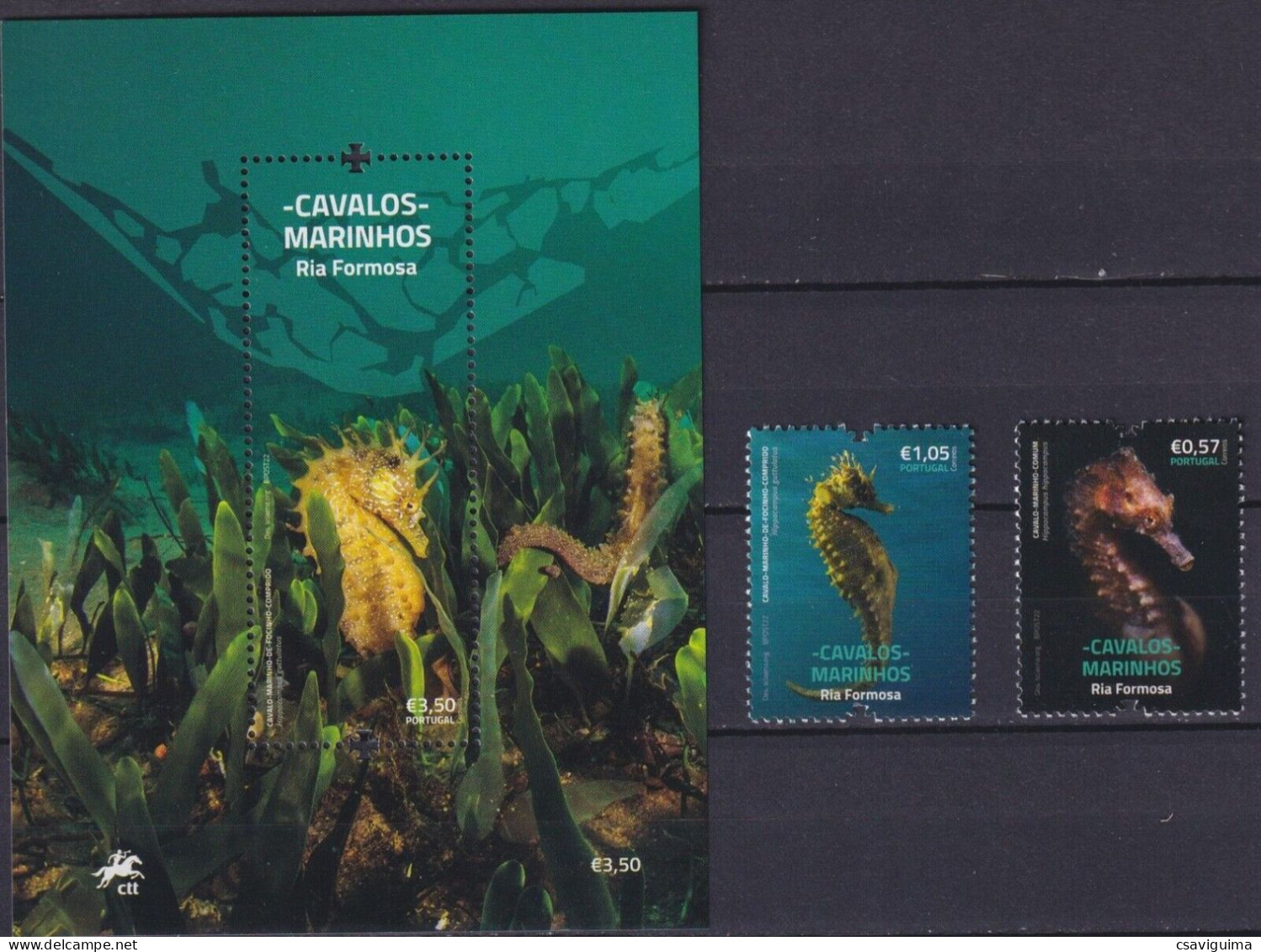Portugal - 2022 - Marine Life: Seahorses - Yv 4809/10 + F4811 - Meereswelt
