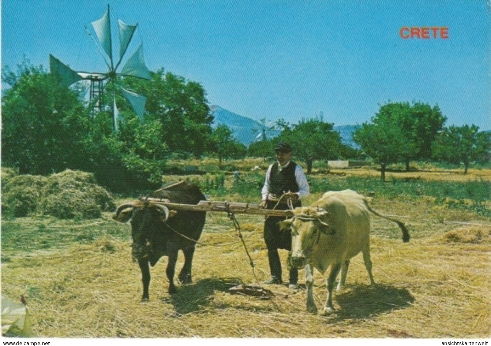 Kreta Ländliches Leben Windmühle Ochsen Ngl #28.145 - Griechenland