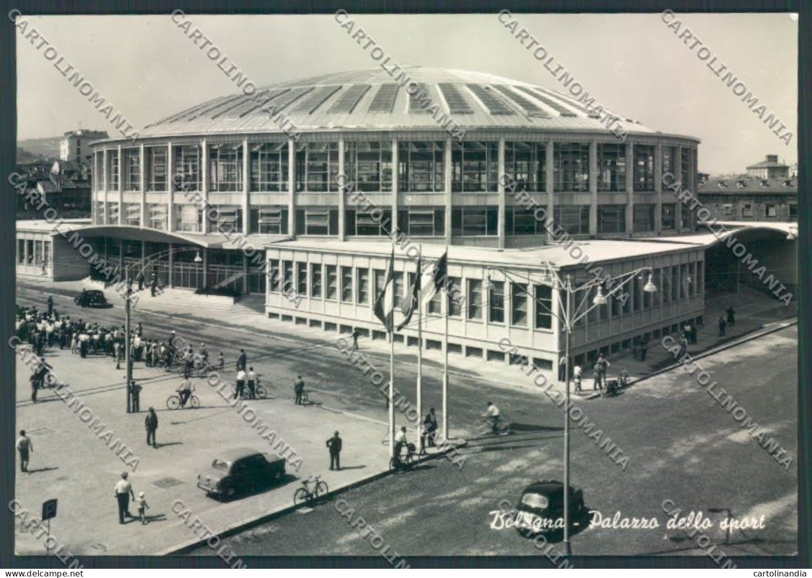 Bologna Città Palazzo Sport Foto FG Cartolina ZF4634 - Bologna