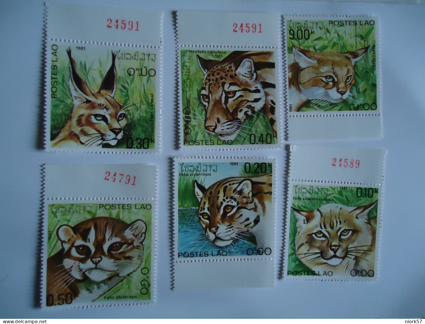 LAOS   MNH  6    STAMPS    ANIMALS TIGER 1981 - Big Cats (cats Of Prey)