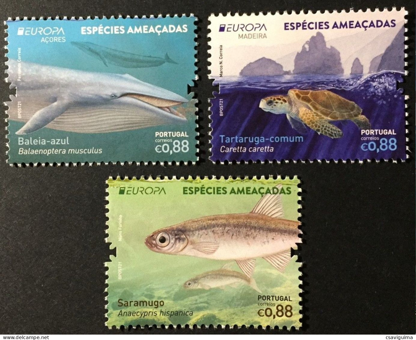 Portugal - 2021 - Marine Life: Fish, Whale And Turtle - Yv 4707 +  635 (Açores) + 411 (Madeira) - Meereswelt