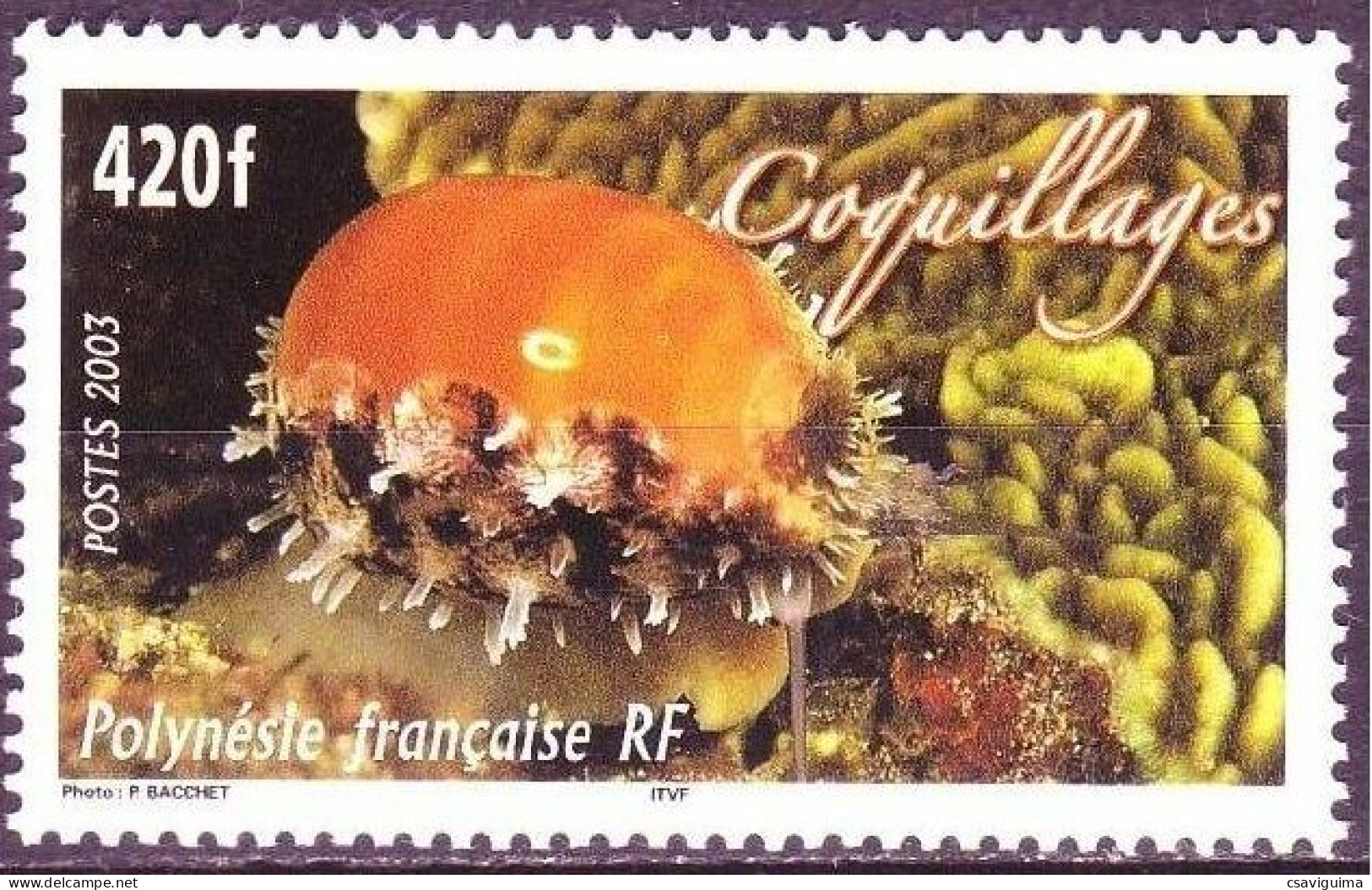 Polynesia Fr - 2003 - Shell - Yv 695 - Meereswelt