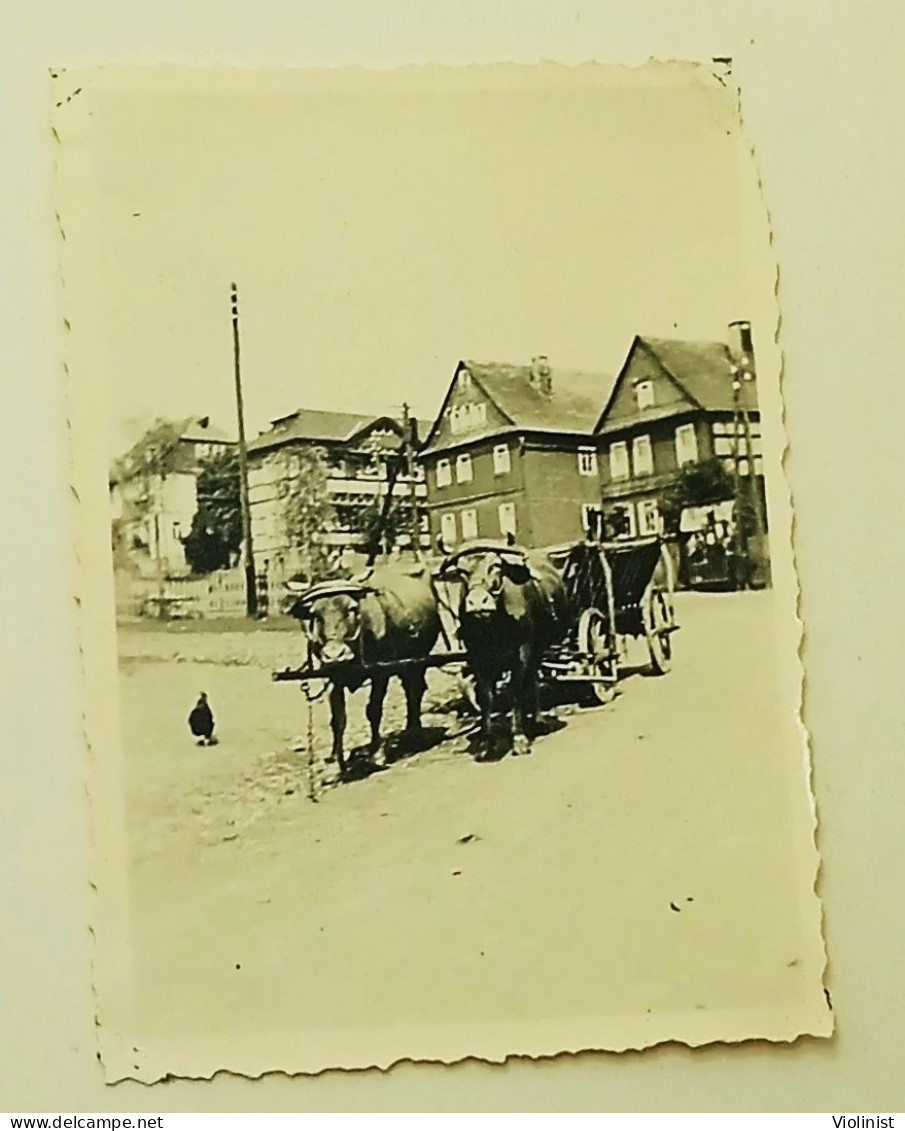 Germany - Oxcart On The Street - Oberhain 1937. - Orte