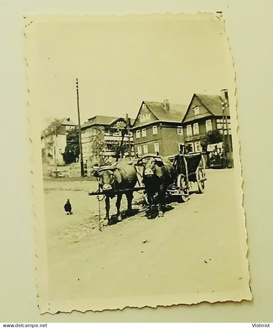 Germany - Oxcart On The Street - Oberhain 1937. - Orte