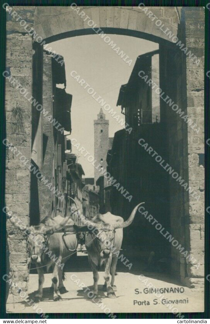 Siena San Gimignano Porta San Giovanni Buoi Foto Cartolina WX1324 - Siena