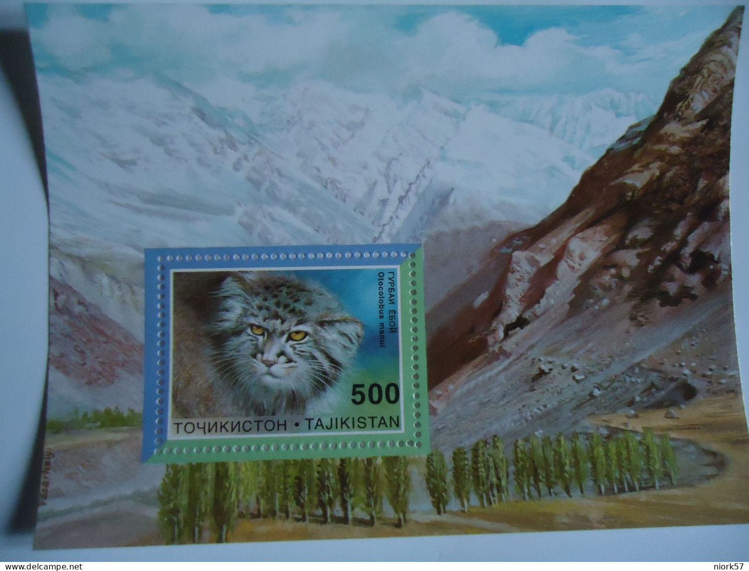 TAJIKISTAN  MNH  SHEET   ANIMALS  CATS CAT - Felinos