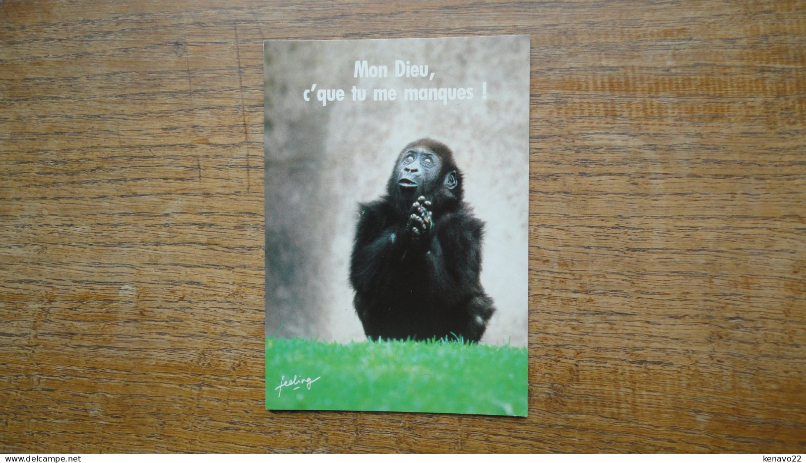 Mon Dieu C'que Tu Me Manque - Singes