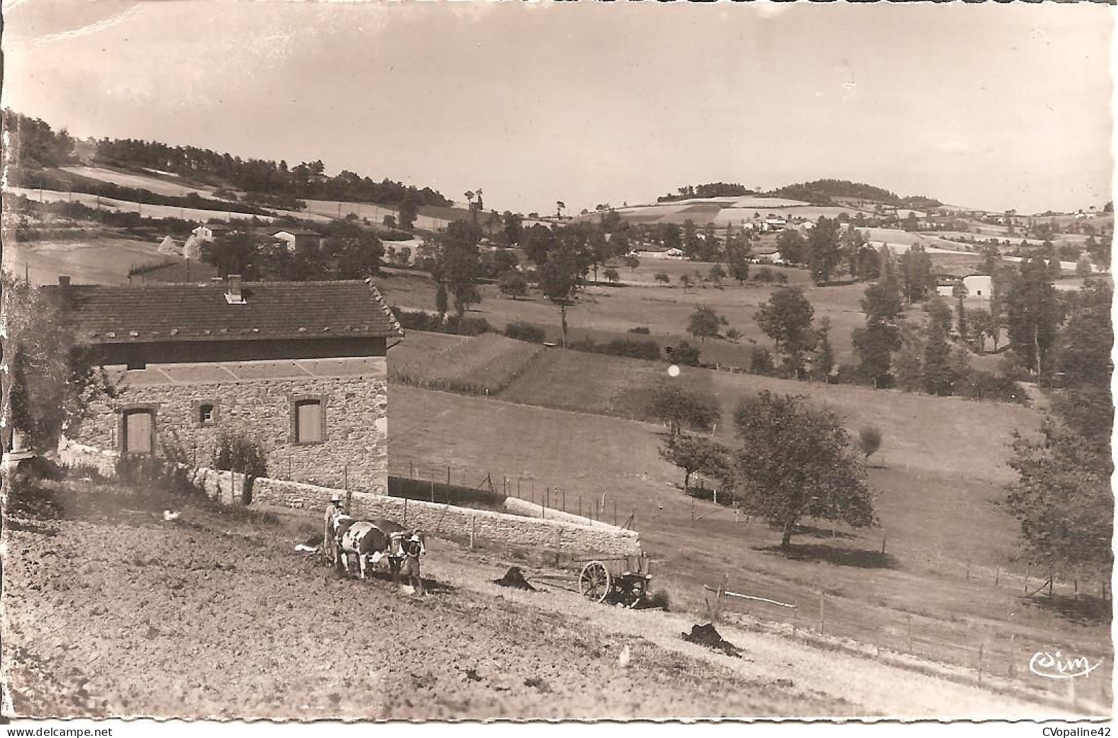 AVEIZE (69) Vallon Des Ornages - Au Fond , à Droite , La Courtine  CPSM  PF - Sonstige & Ohne Zuordnung