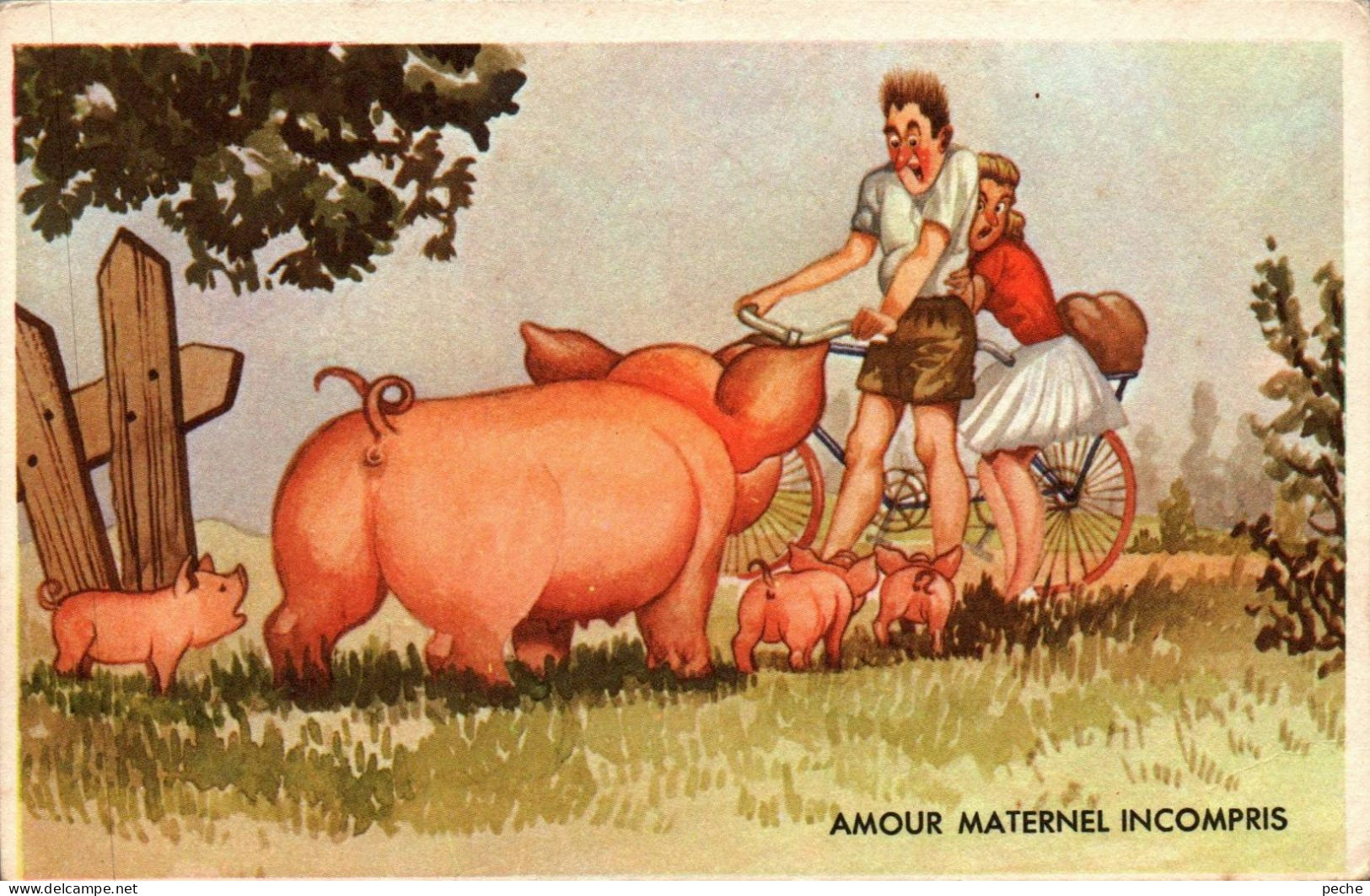 N°117 W -cpa Illustrateur -amour Maternel Incompris- - Pigs