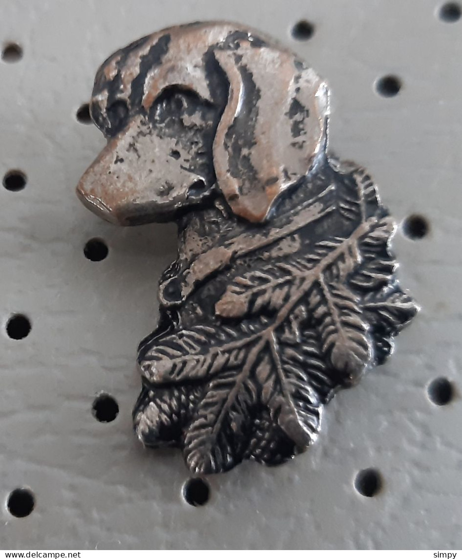 Dachshund Hunting Dog Hound Hund Slovenia Pin - Animals