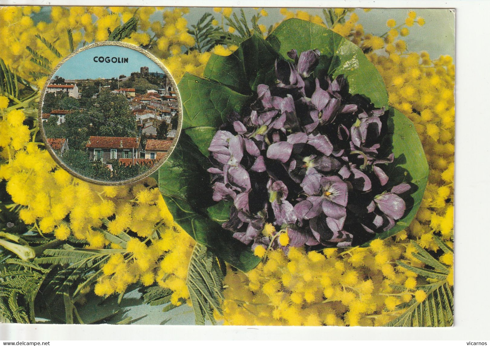 CP 83 COGOLIN Carte Parfumée Mimosas Violettes - Cogolin