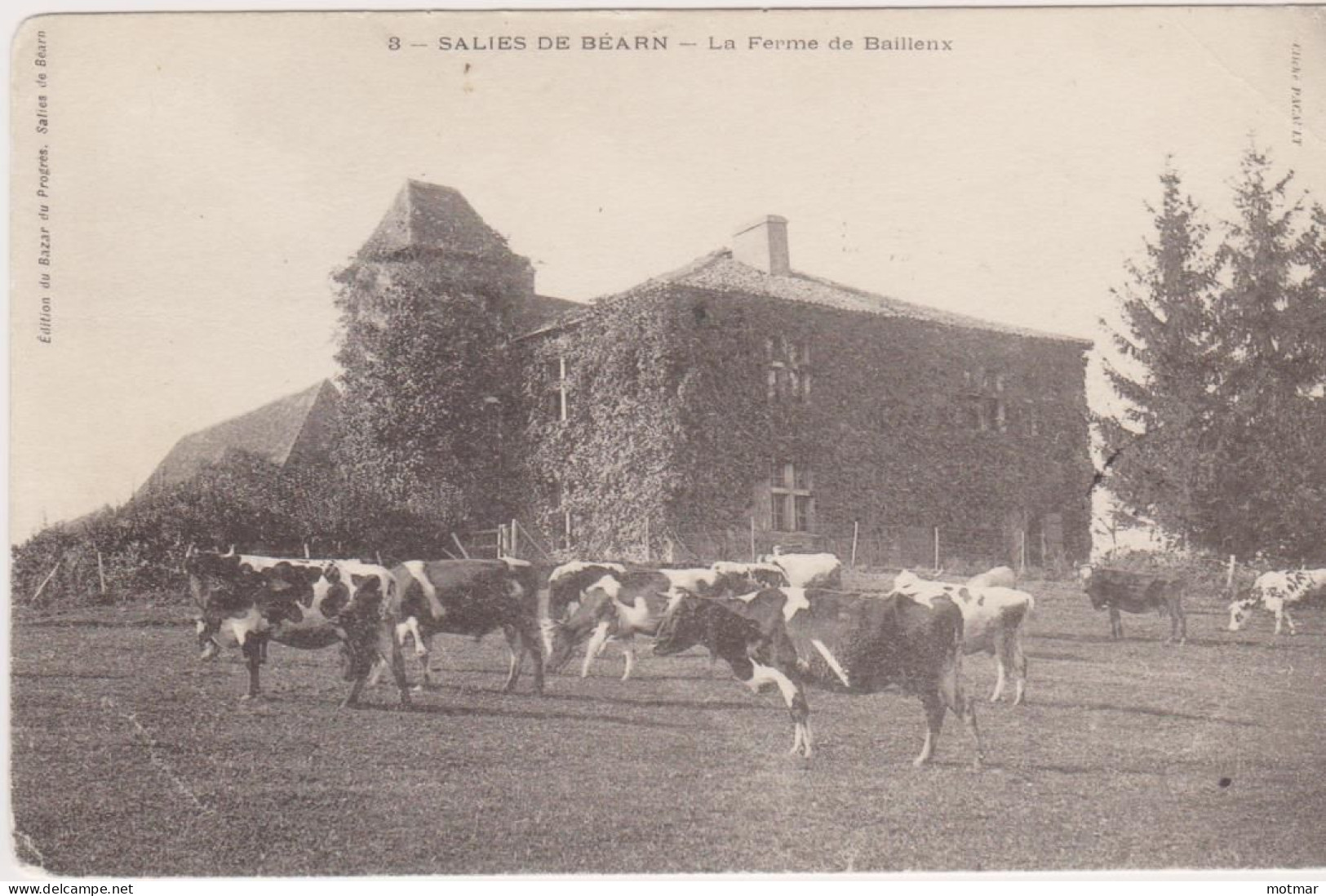 Salies De Béarn, La Ferme De Baillenx - Vaches - Salies De Bearn