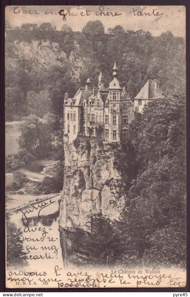 BELGIQUE DINANT LE CHATEAU DE WALZIN - Dinant