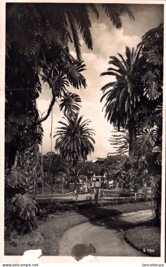 MADEIRA - FUNCHAL / PUBLIC GARDEN - Madeira