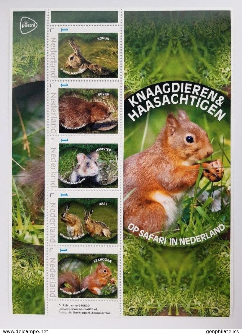 NETHERLANDS 2024 FAUNA Animals RODENTS And HARES - Fine S/S MNH - Ungebraucht