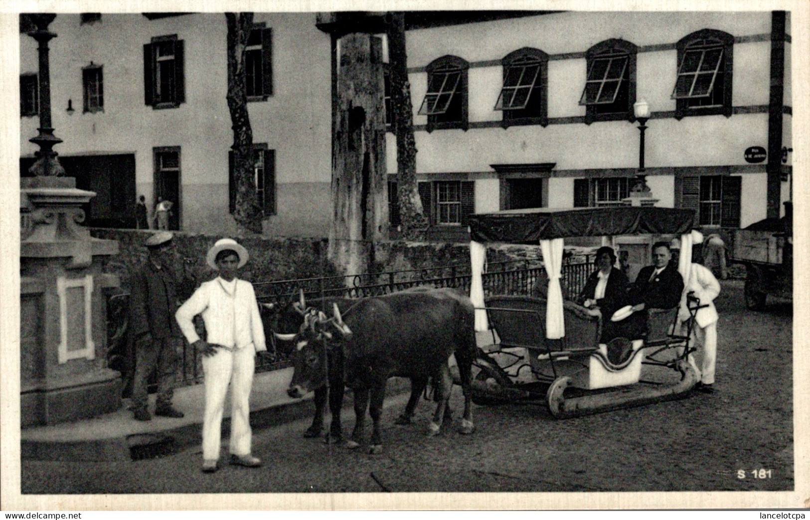 MADEIRA / BULLOC CAR - Madeira