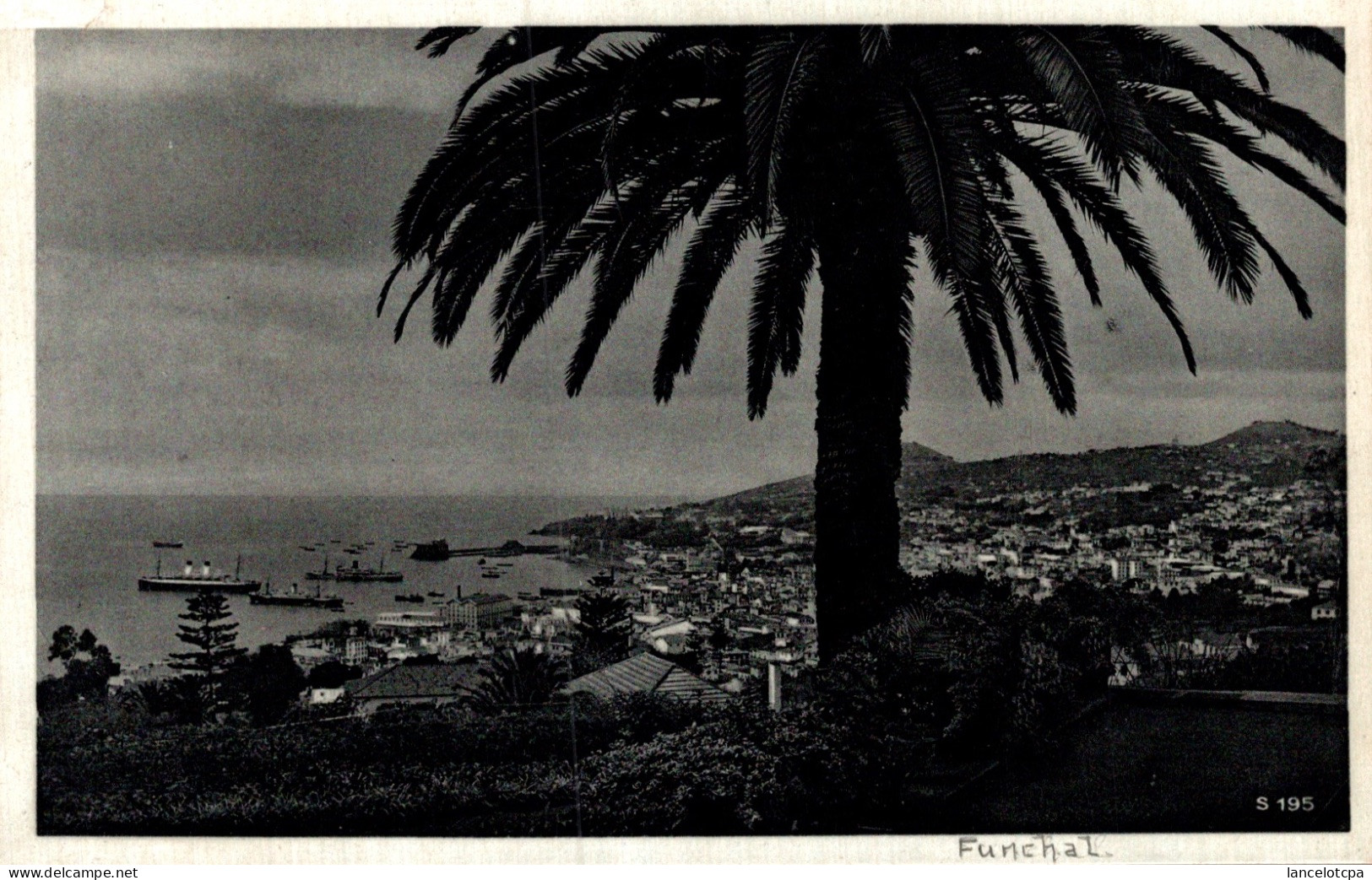 MADEIRA / VIEW OF FUNCHAL FROM EAST - Madeira