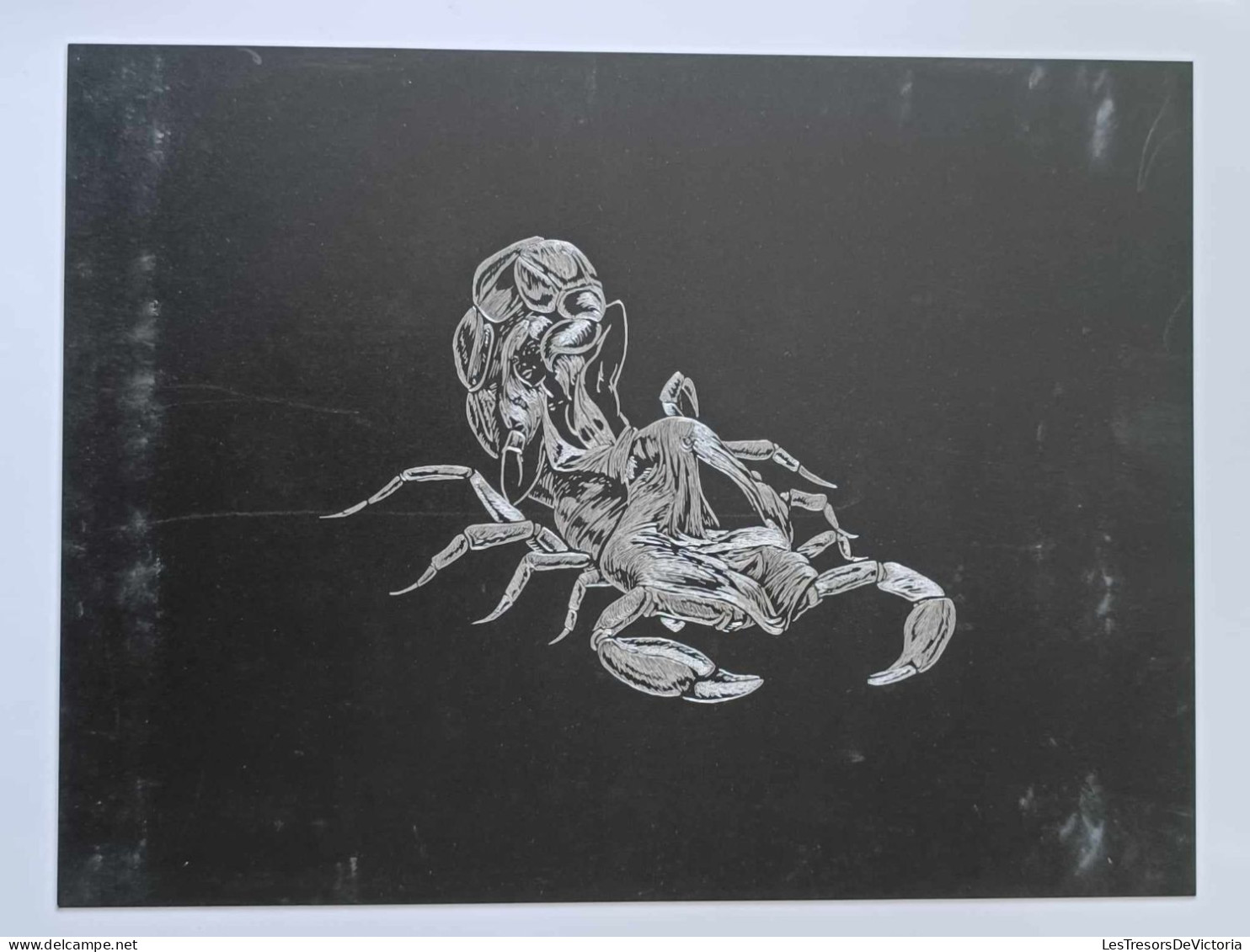 Dessin D'art - Gravure Sur Plaque De Métal - Signe Su Zodiac - Scorpion - Dim:18/24cm - Altri & Non Classificati