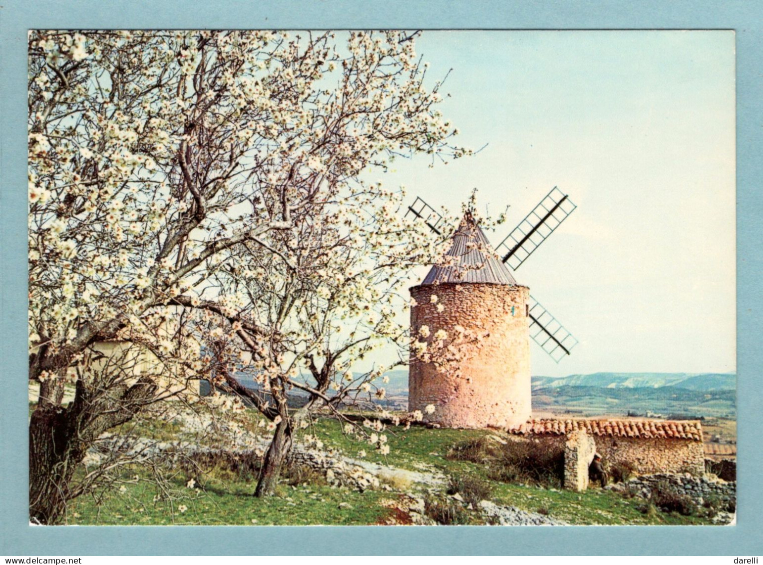 CP 84 - Provence - Vieux Moulin De Provence Dans Les Amandiers En Fleurs - Provence-Alpes-Côte D'Azur