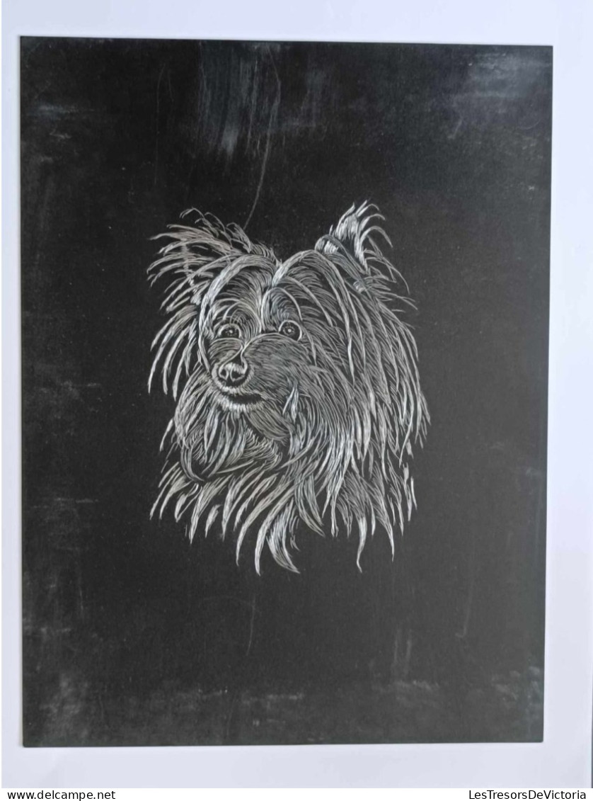 Dessin D'art - Gravure Sur Plaque De Métal - Animal - Chien - Yorkshire  - Dim:18/24cm - Autres & Non Classés