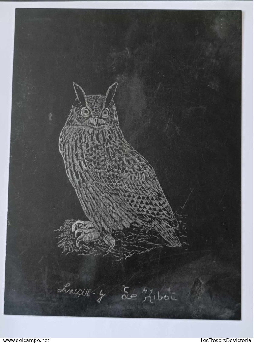 Dessin D'art - Gravure Sur Plaque De Métal - Animal - Chien - Hibou - Dim:18/24cm - Andere & Zonder Classificatie