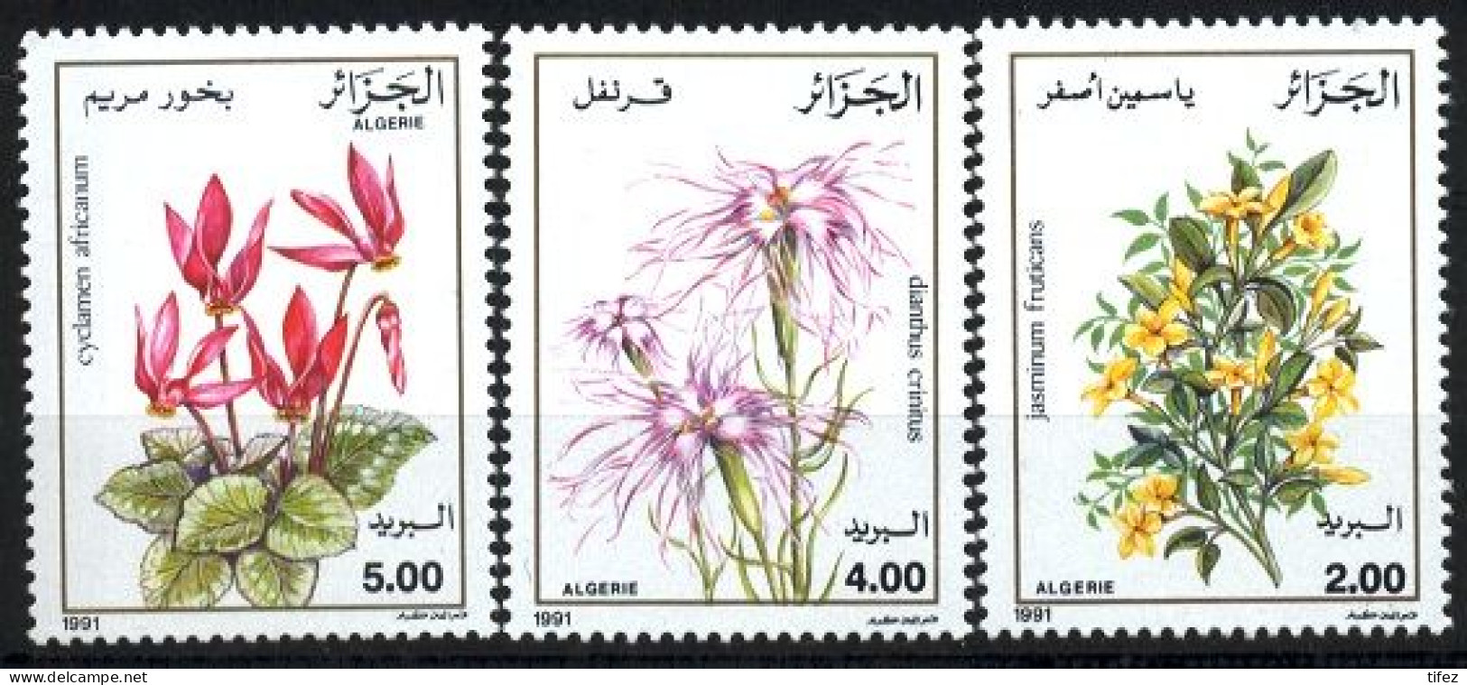 Année 1991- N°996/998 Neufs**MNH : Fleurs Diverses (Cyclamen, Jasmin....) - Algérie (1962-...)