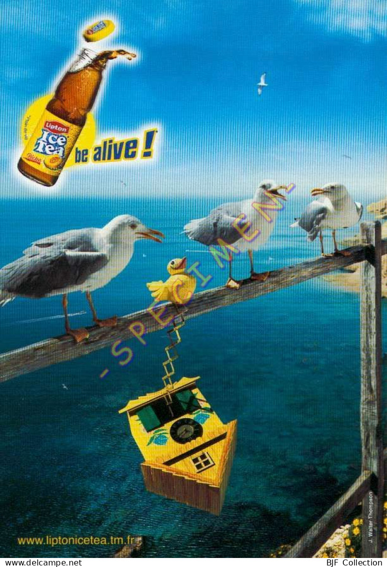 Lipton ICE TEA – BE ALIVE ! - Publicité