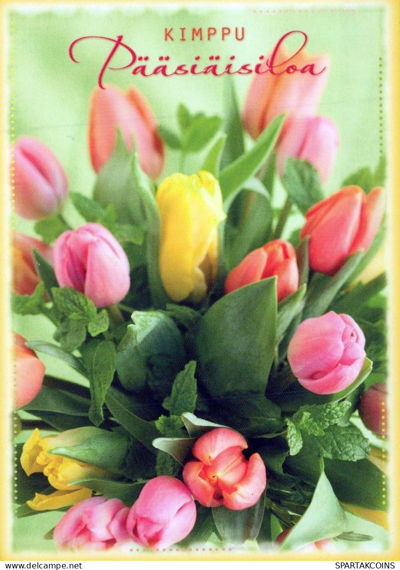 FLOWERS Vintage Postcard CPSM #PBZ229.A - Fleurs
