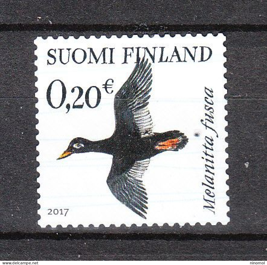 Finlandia  -  2017.Anatra In Volo. Duck In Flight. - Canards