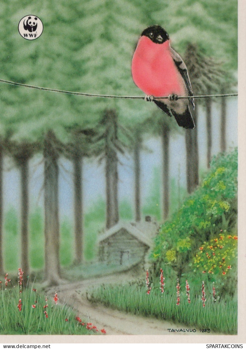 UCCELLO Animale Vintage Cartolina CPSM #PAN124.A - Birds