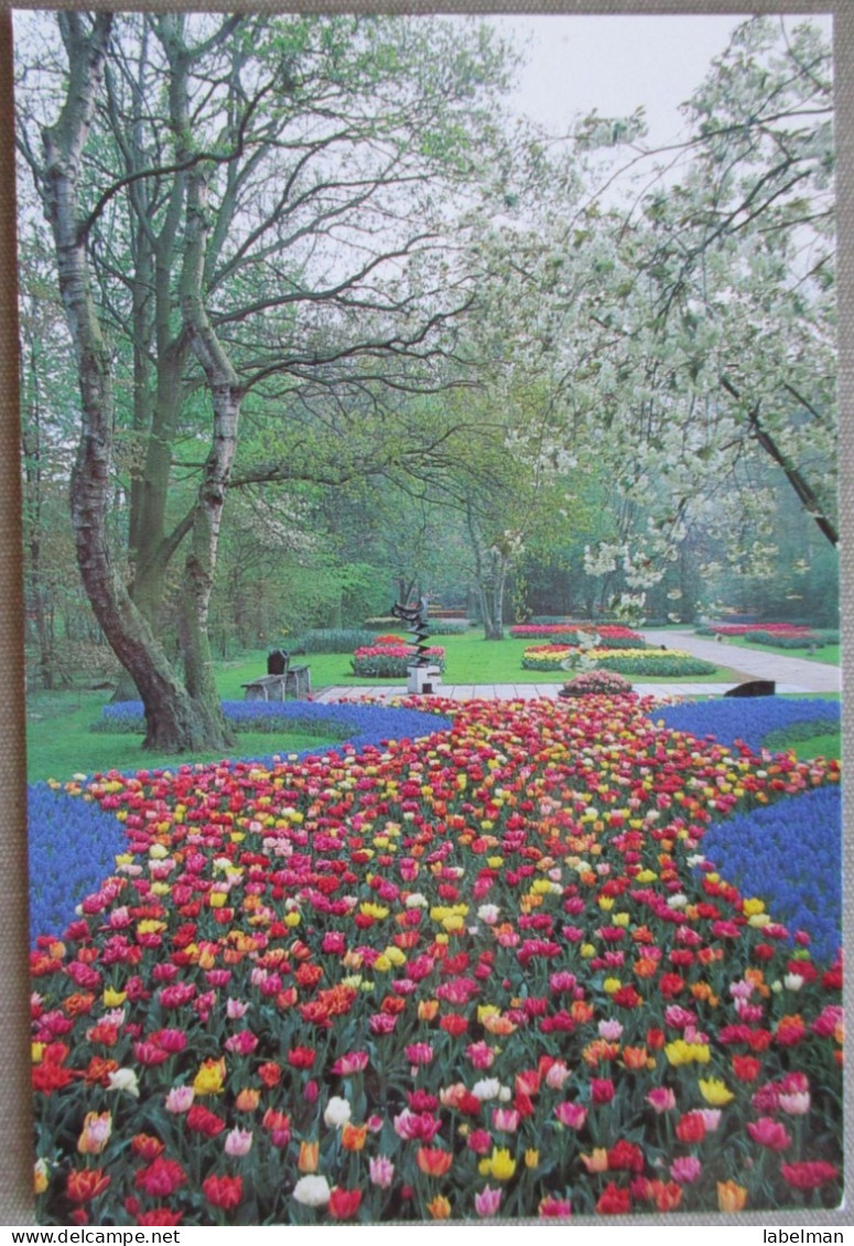 HOLLAND NETHERLAND LISSE KEUKENHOF FLOWER GARDENS POSTCARD CARTOLINA ANSICHTSKARTE CARTE POSTALE POSTKARTE CARD KARTE - Lisse