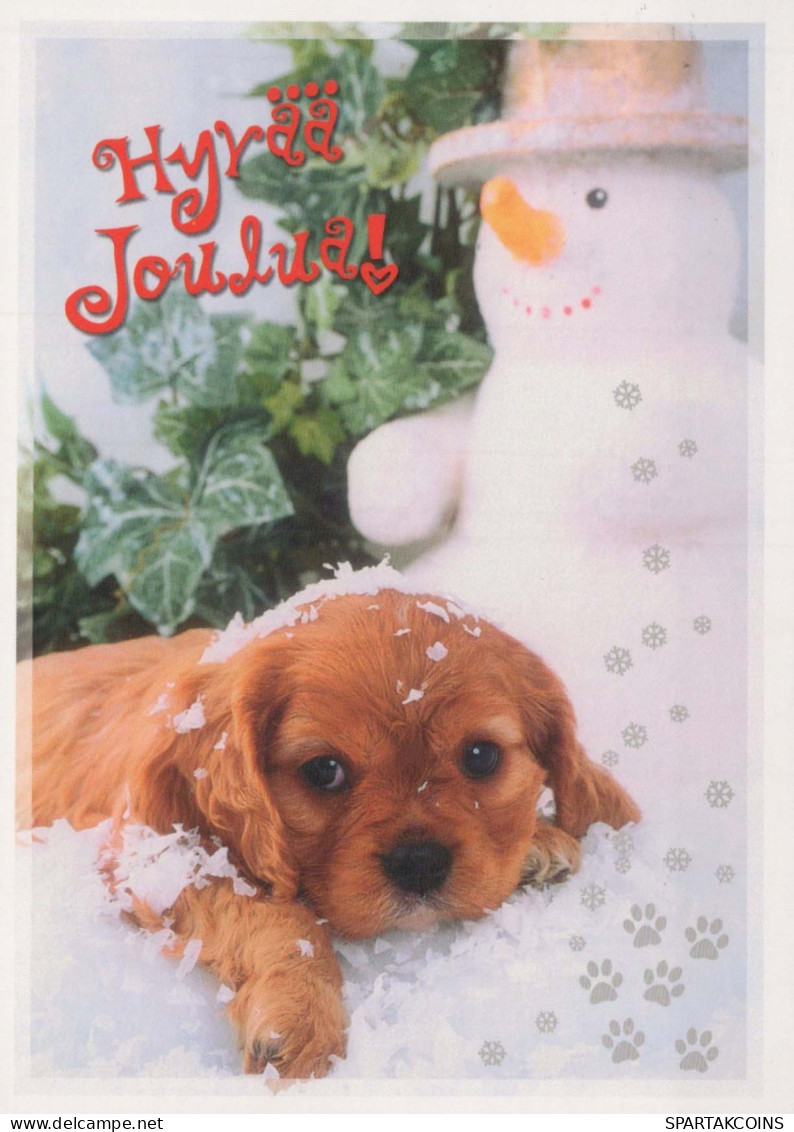 DOG Animals Vintage Postcard CPSM #PBQ623.A - Chiens