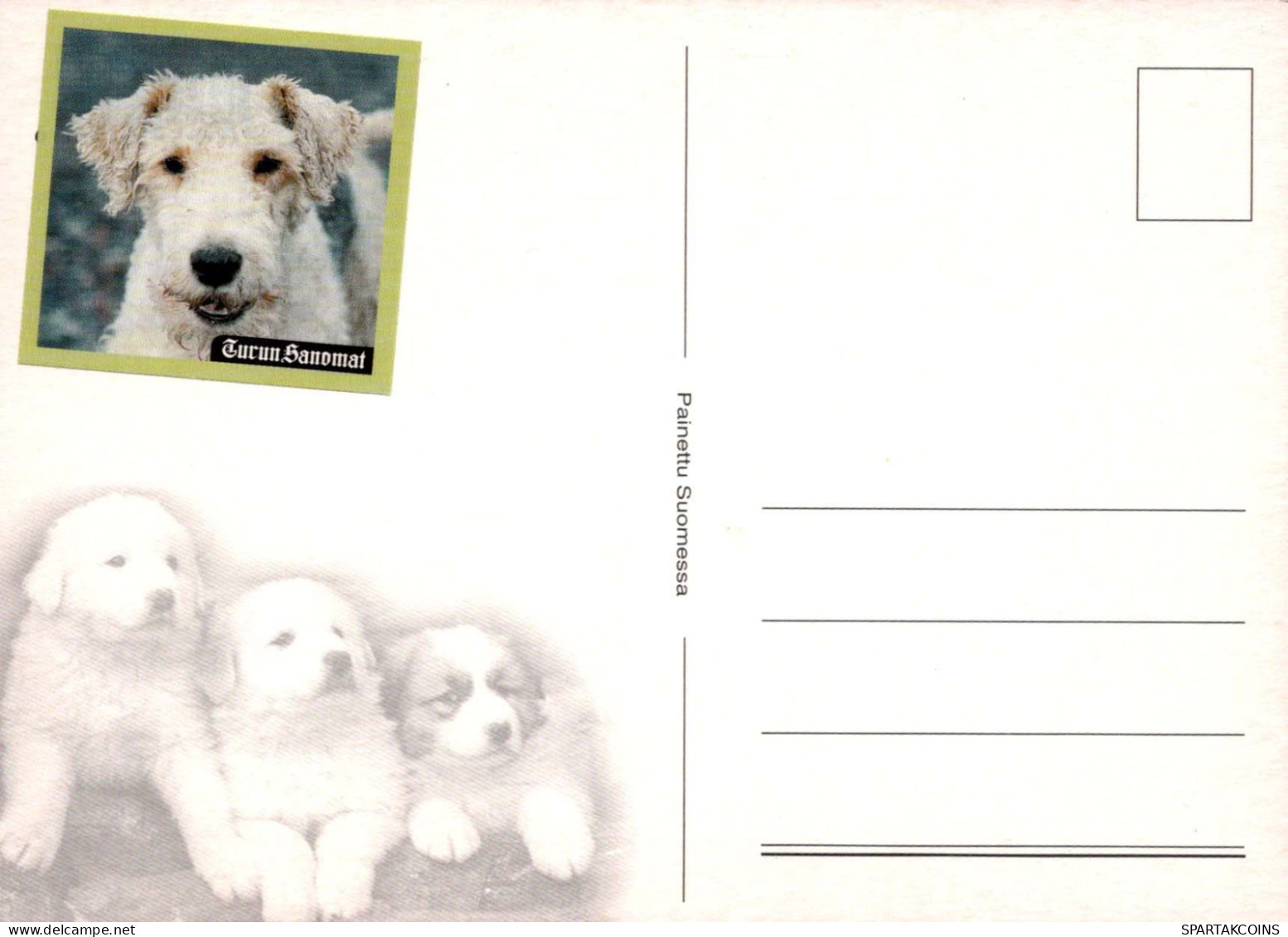 PERRO Animales Vintage Tarjeta Postal CPSM #PBQ394.A - Chiens