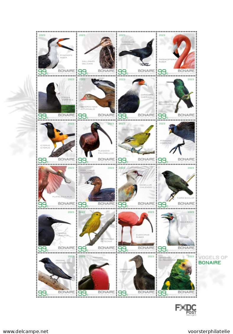 CARIBISCH NEDERLAND BONAIRE, SABA, ST. EUSTATIUS 2023 BIRDS OISEAUX VOGELS  ++ MNH POSTFRIS ++ - Curacao, Netherlands Antilles, Aruba